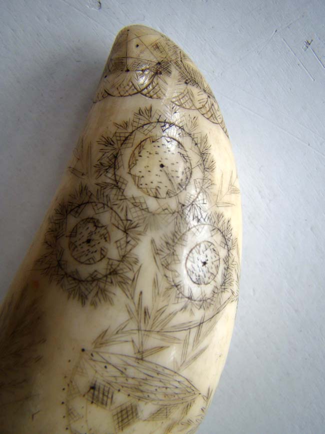 A charming 19th century Scrimshaw Whale's Tooth — image 3